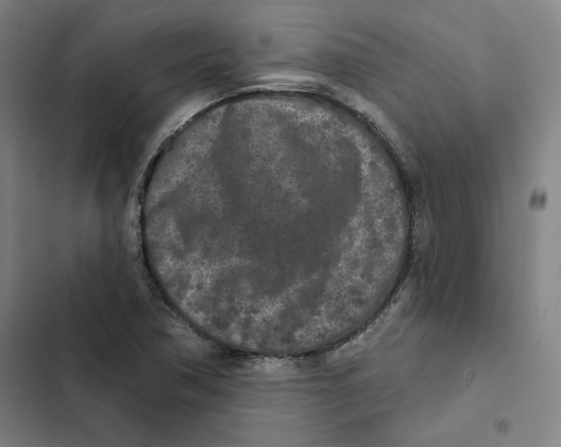 X0000102351362200808291151