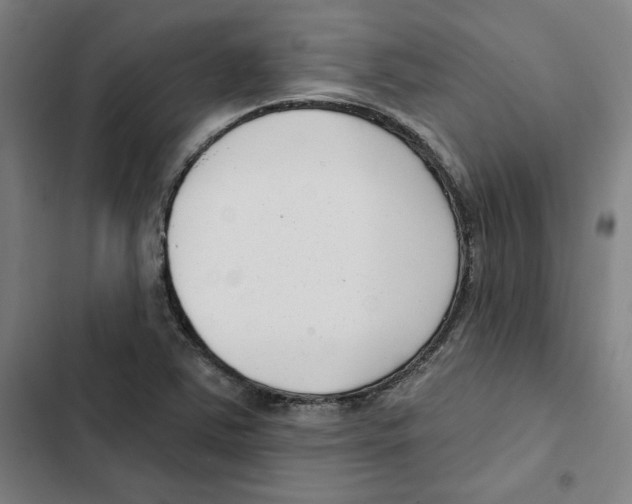 X0000102351363200808291151
