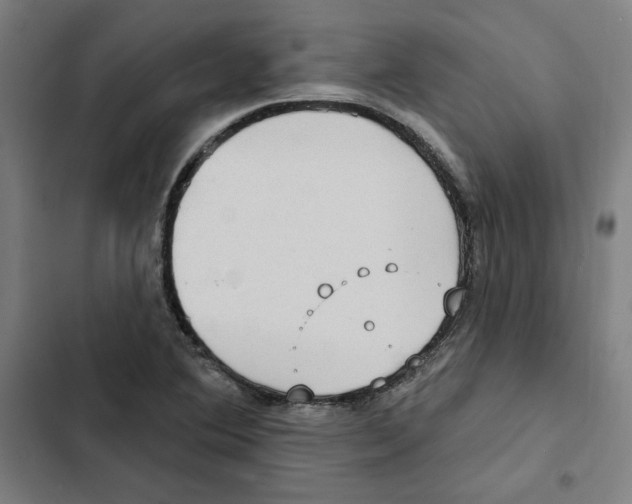 X0000102351364200808291151