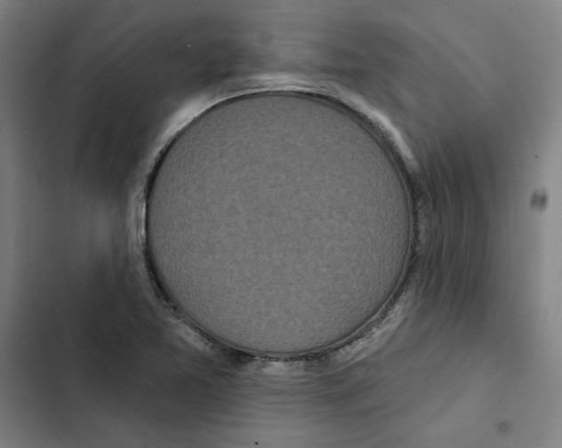 X0000102351365200808291151