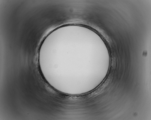 X0000102351366200808291151