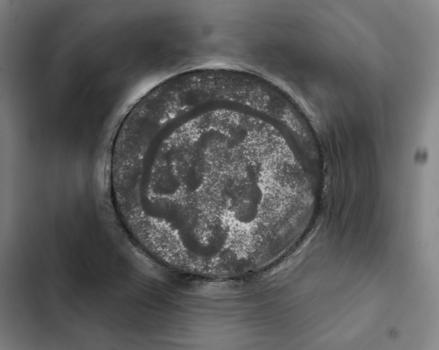 X0000102351367200808291151