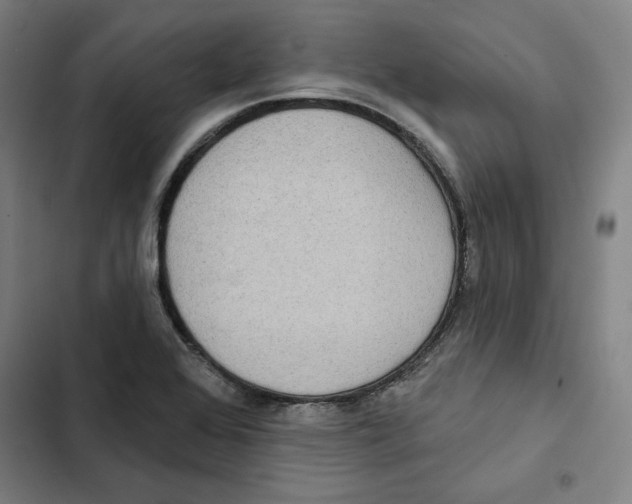 X0000102351368200808291151