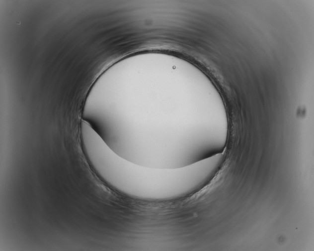 X0000102351369200808291151