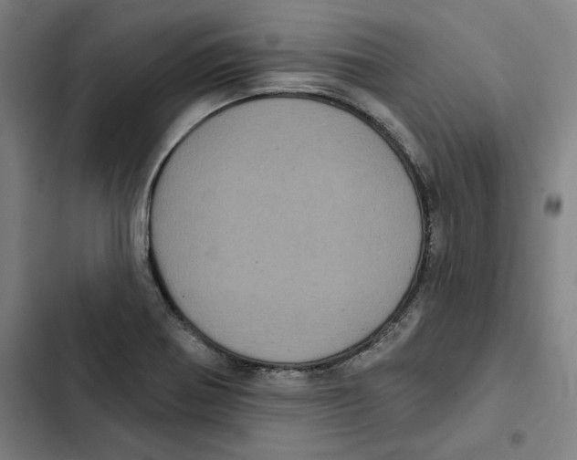 X0000102351370200808291151
