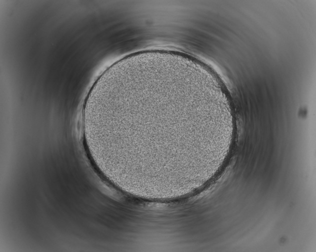 X0000102351371200808291151