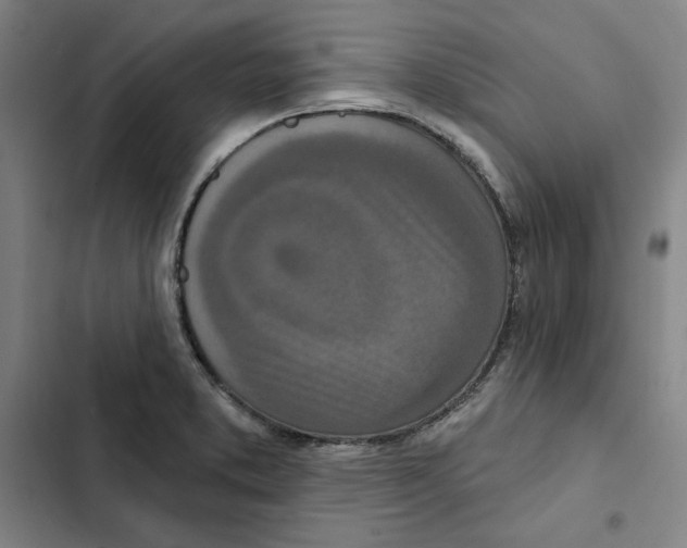 X0000102351373200808291151
