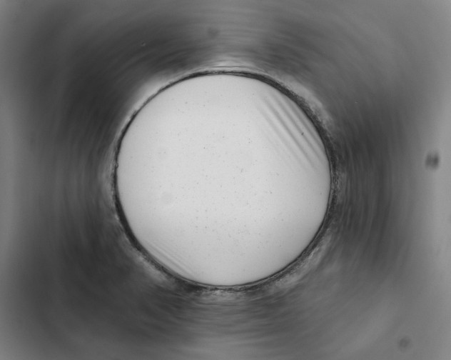 X0000102351374200808291151