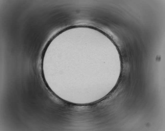 X0000102351376200808291151