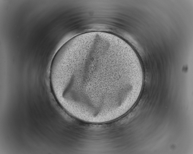 X0000102351378200808291151
