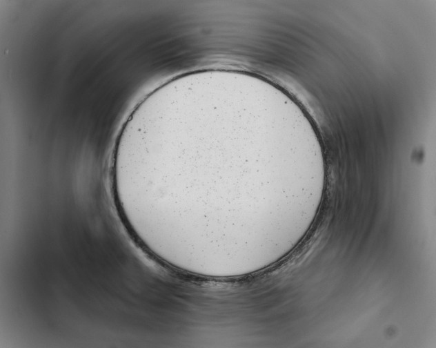 X0000102351379200808291150