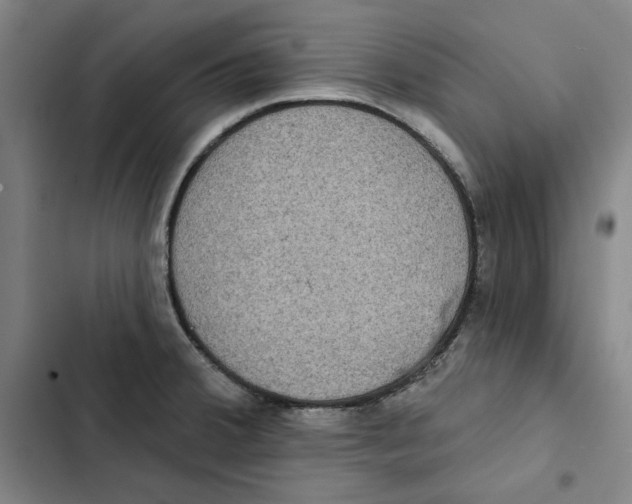 X0000102351380200808291150