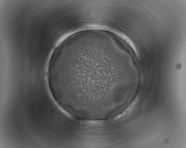 X0000102351381200808291150