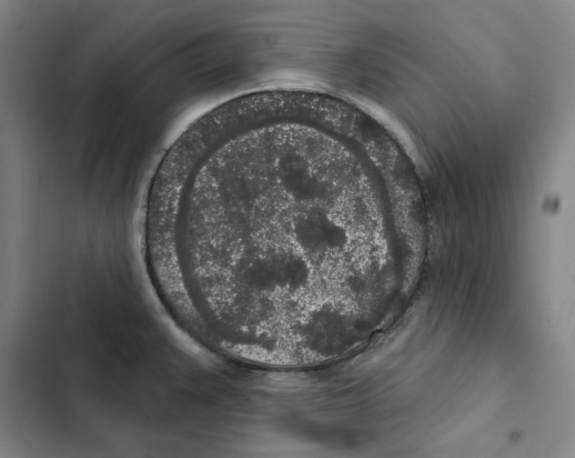 X0000102351383200808291150