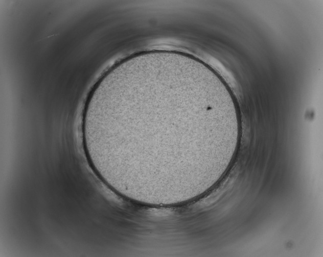 X0000102351384200808291150