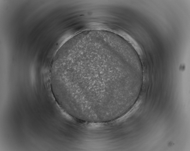 X0000102351385200808291150