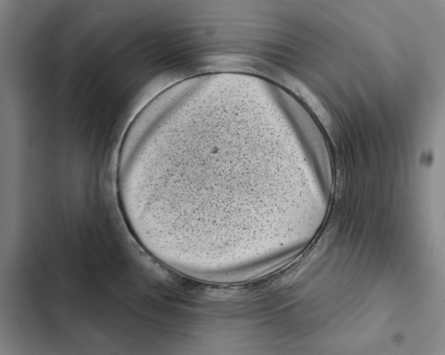X0000102351386200808291150
