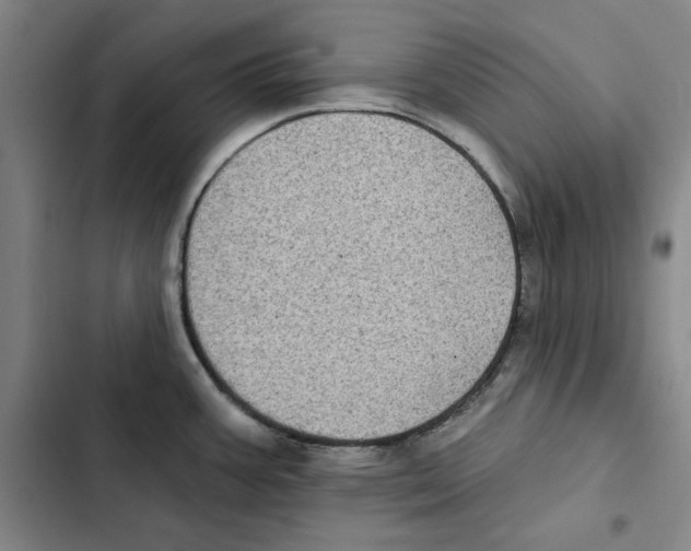X0000102351387200808291150