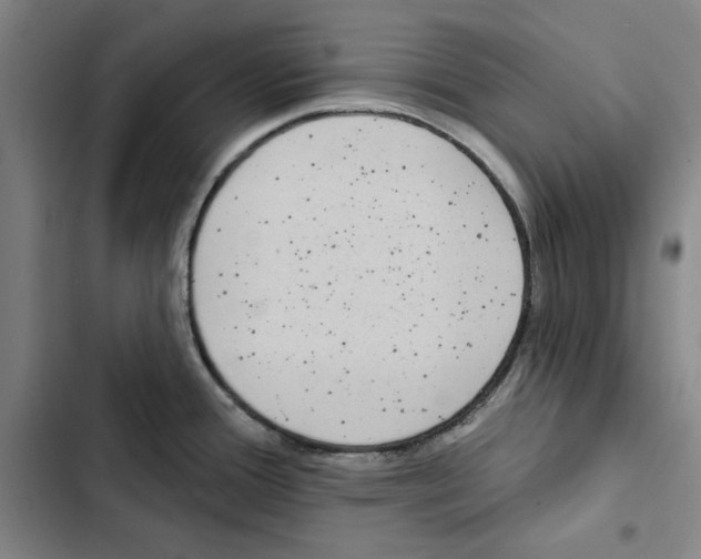 X0000102351388200808291150