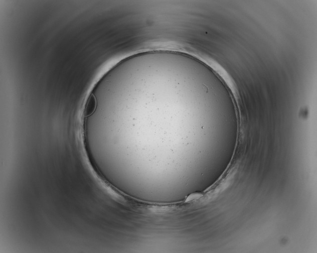 X0000102351389200808291150