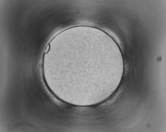 X0000102351391200808291150