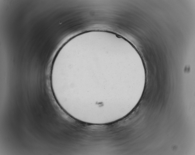 X0000102351392200808291150