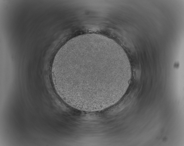 X0000102351393200808291150