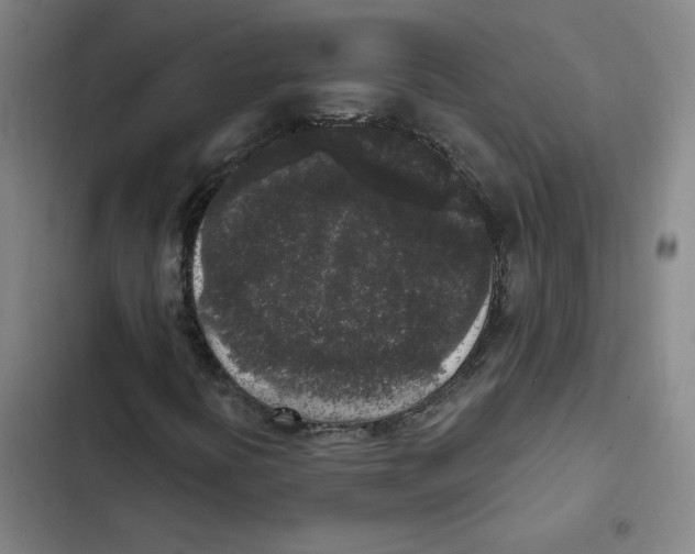 X0000102351394200808291150