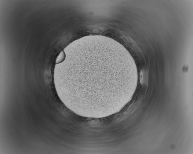 X0000102351395200808291150
