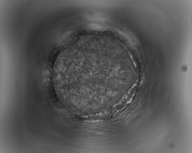 X0000102351397200808291150