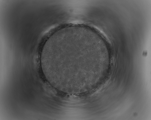 X0000102351398200808291150