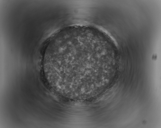 X0000102351399200808291150