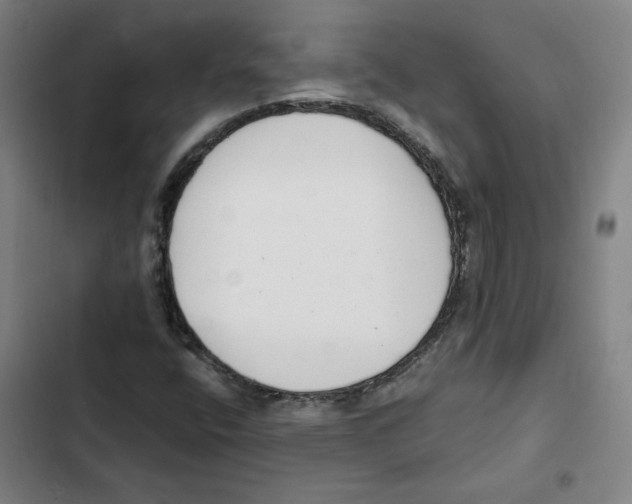 X0000102351400200808291150