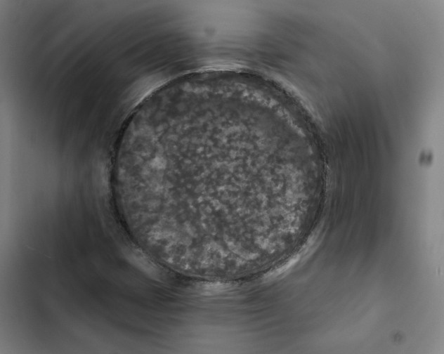 X0000102351401200808291150