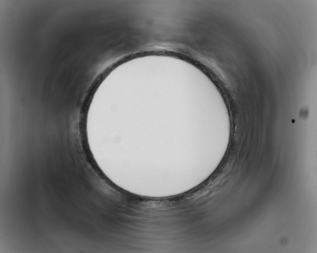 X0000102351404200808291150