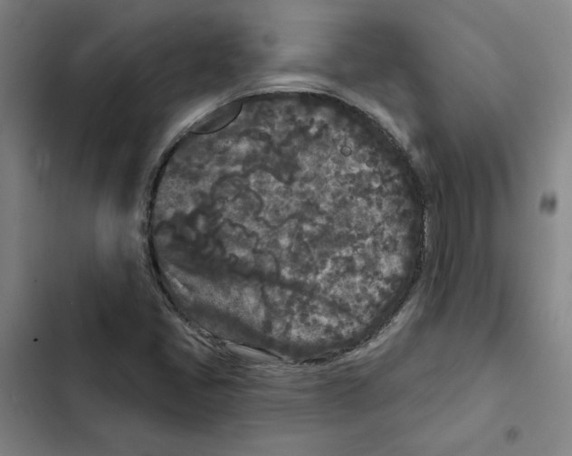 X0000102351405200808291150