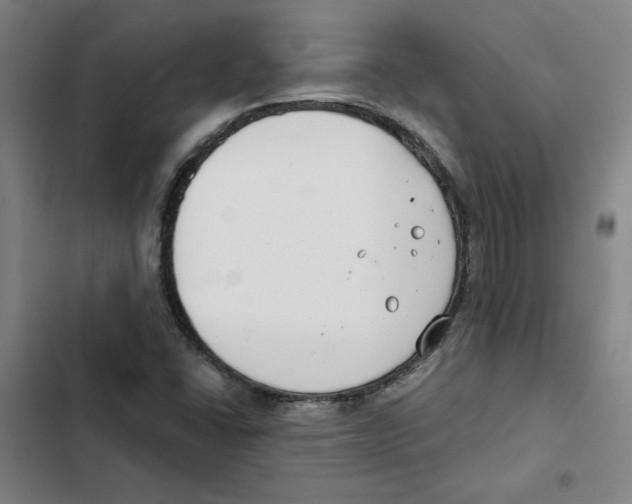 X0000102351406200808291150