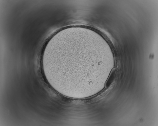 X0000102351407200808291150