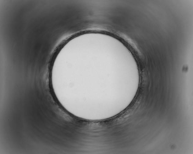 X0000102351408200808291150
