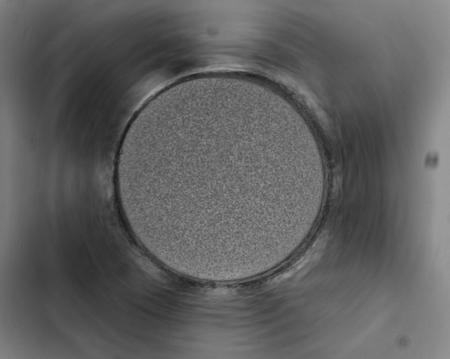 X0000102351409200808291150