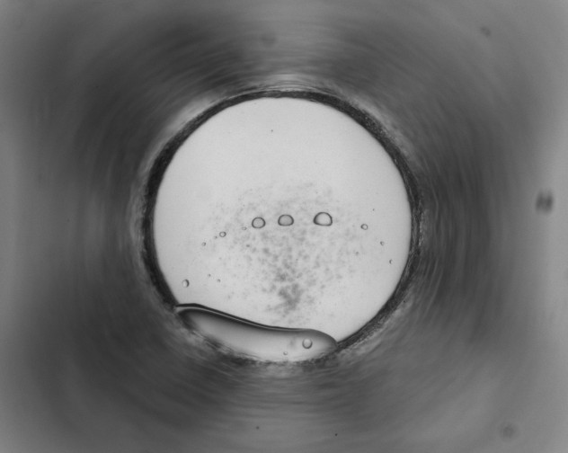 X0000102351410200808291150