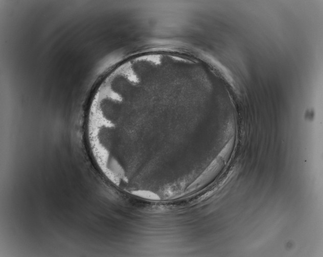 X0000102351411200808291150