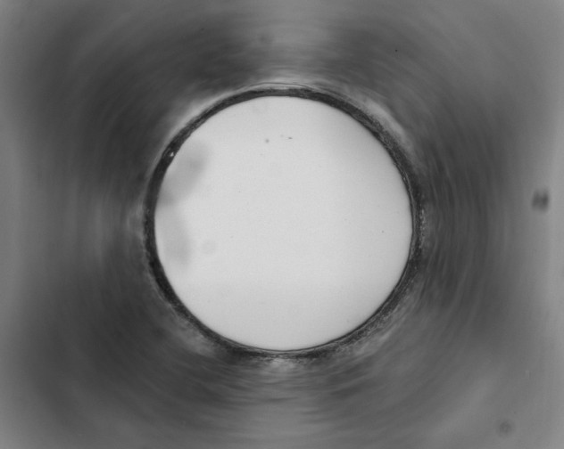 X0000102351412200808291150