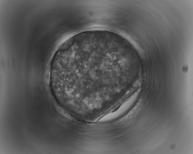 X0000102351413200808291150