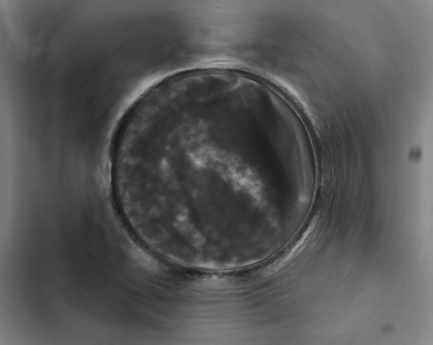 X0000102351414200808291150