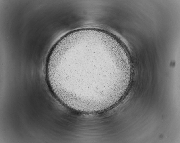 X0000102351415200808291150