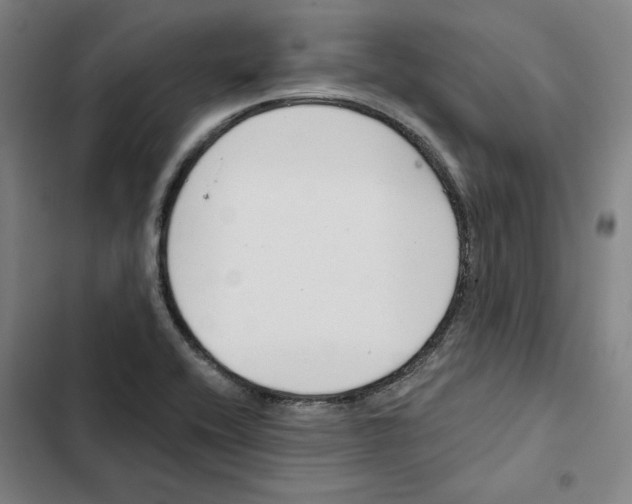 X0000102351416200808291150