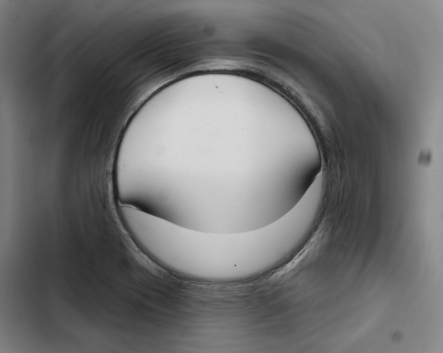 X0000102351417200808291150
