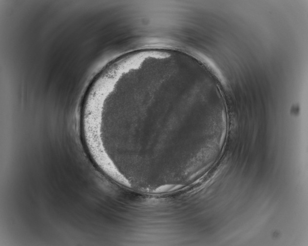 X0000102351419200808291150