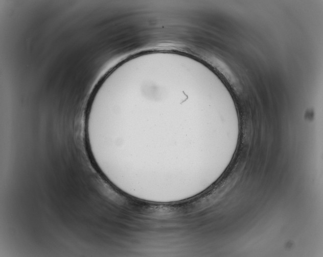 X0000102351420200808291150